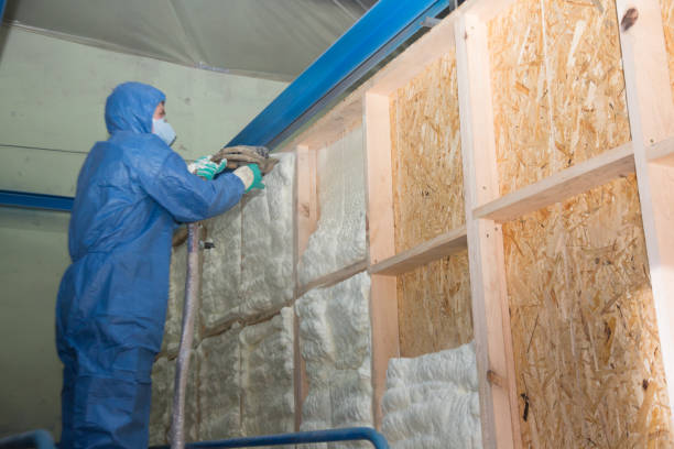 Best Home Insulation Services  in Deatsville, AL